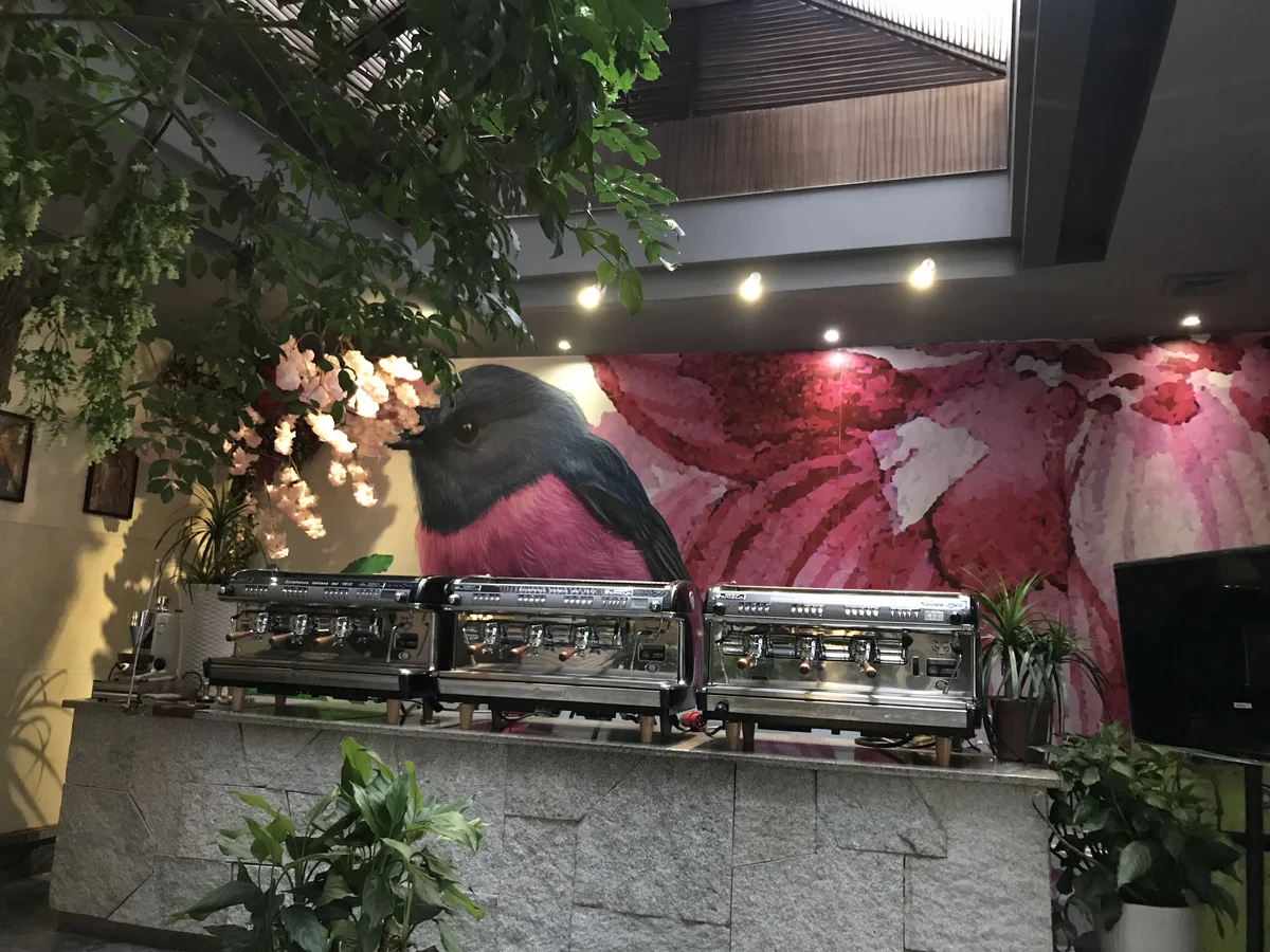 咖啡师专注手冲