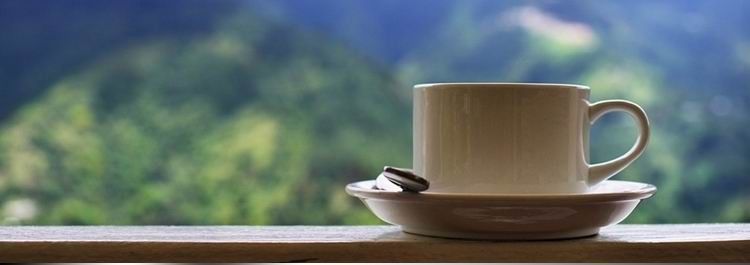 蓝山①号 · 不要把仿冒的蓝山风味当成蓝山①号